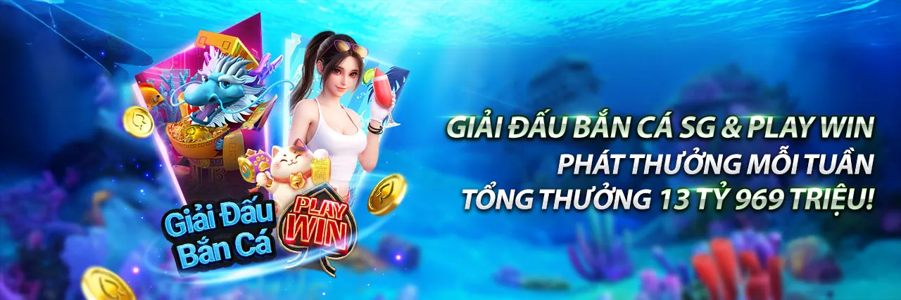 Tổng quan về 77 ball info và các lợi thế nền tảng